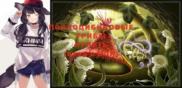 твердый Беломорск