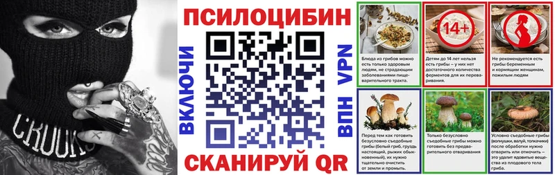Галлюциногенные грибы Psilocybine cubensis  Буйнакск 